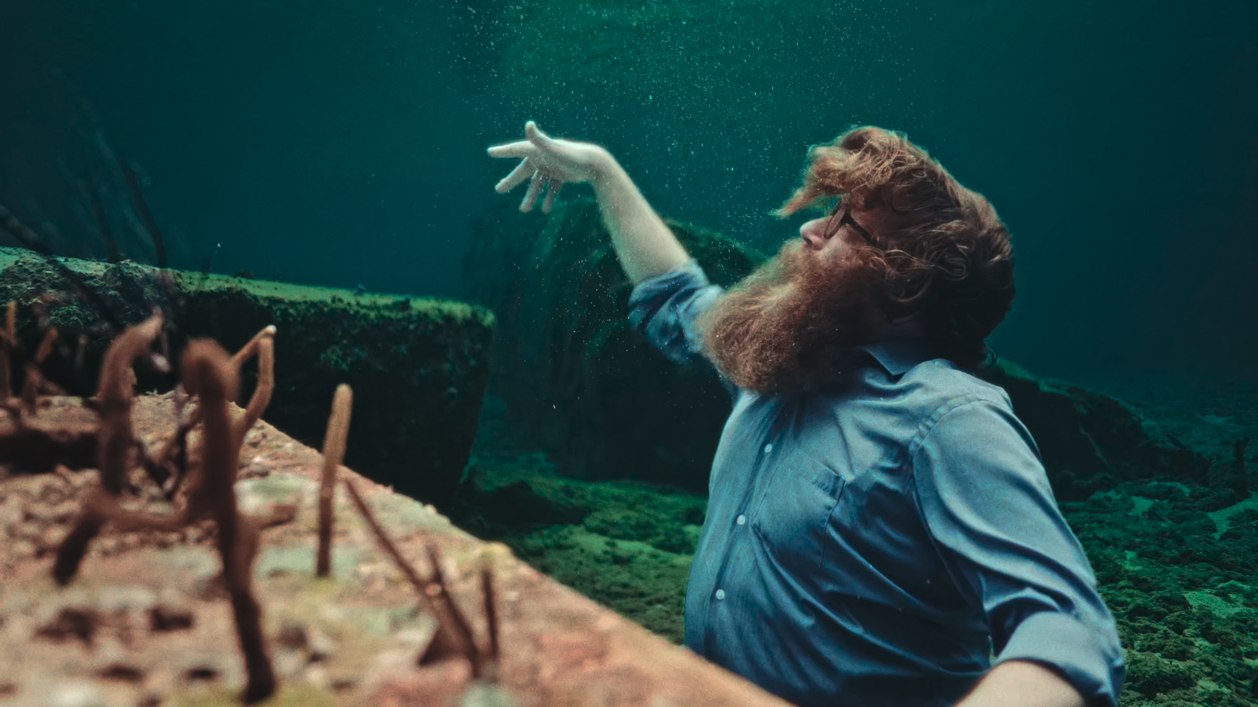 credit: Lalo de la Cerda